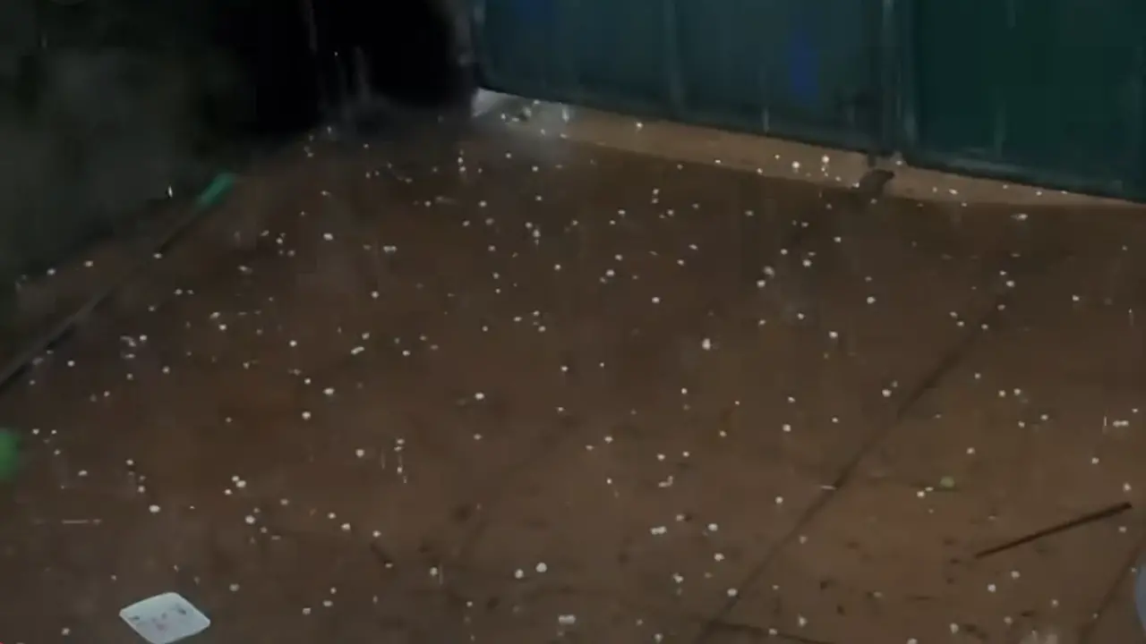 أمطار غزيرة وكرات من البرد تضرب العاصمة الفيتنامية هانوي بشكل مفاجئ